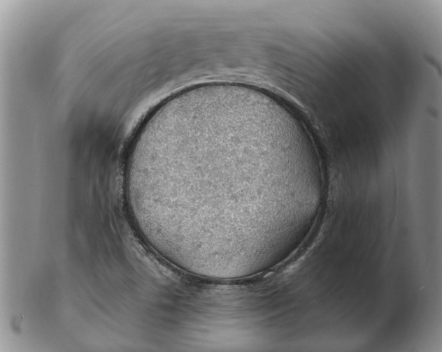 X0000103171506200809121848