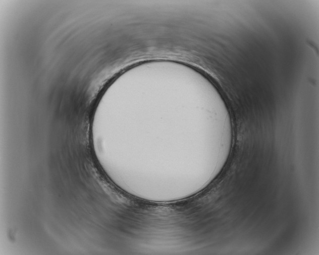 X0000103171507200809121848