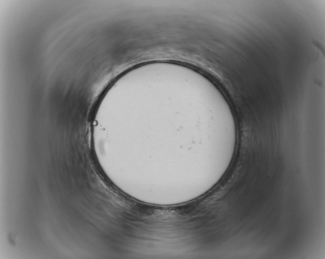 X0000103171509200809121848