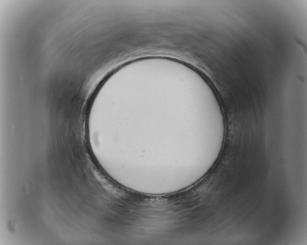 X0000103171511200809121849