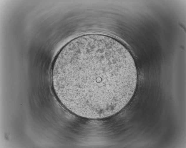 X0000103171514200809121849