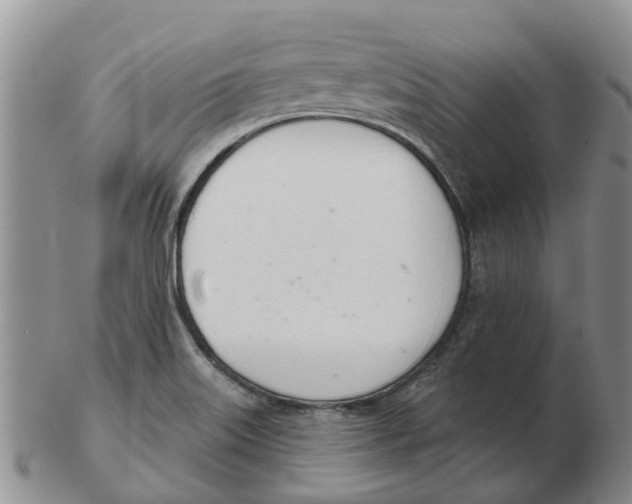 X0000103171515200809121849