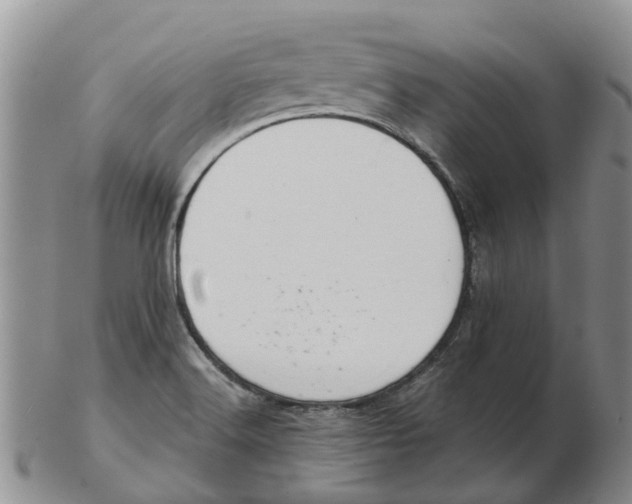 X0000103171516200809121849