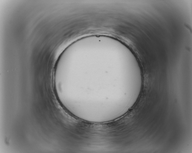 X0000103171520200809121849