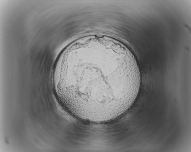 X0000103171522200809121849