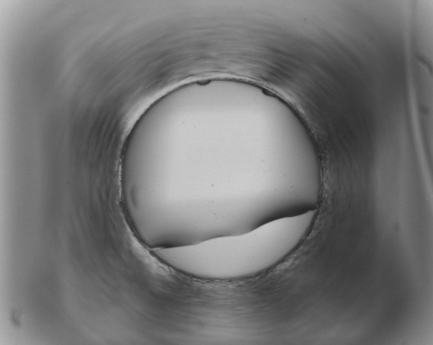 X0000103171524200809121849