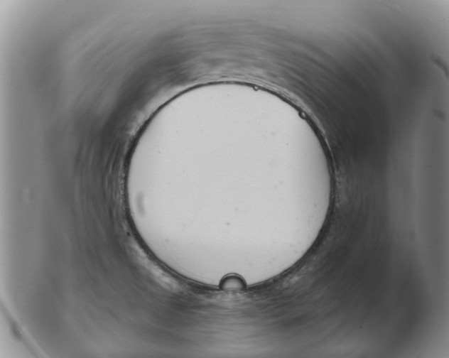 X0000103171525200809121849