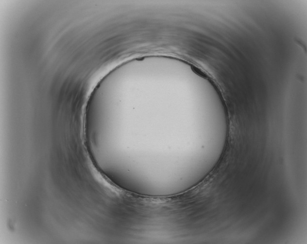 X0000103171528200809121849