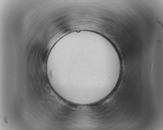 X0000103171529200809121849