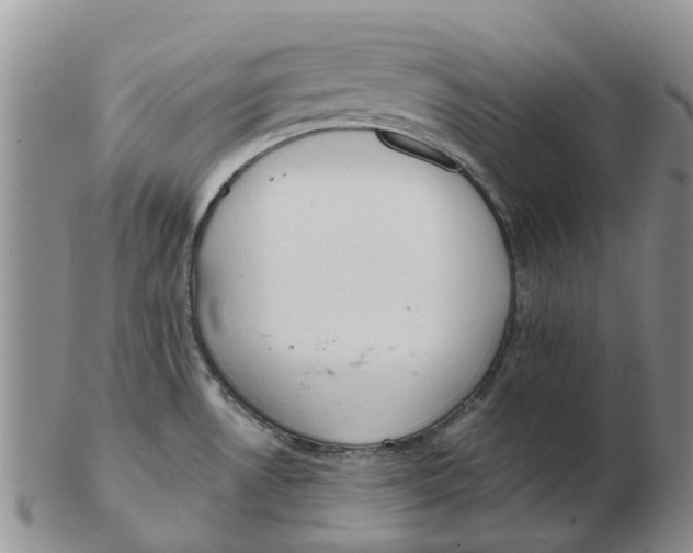 X0000103171530200809121849