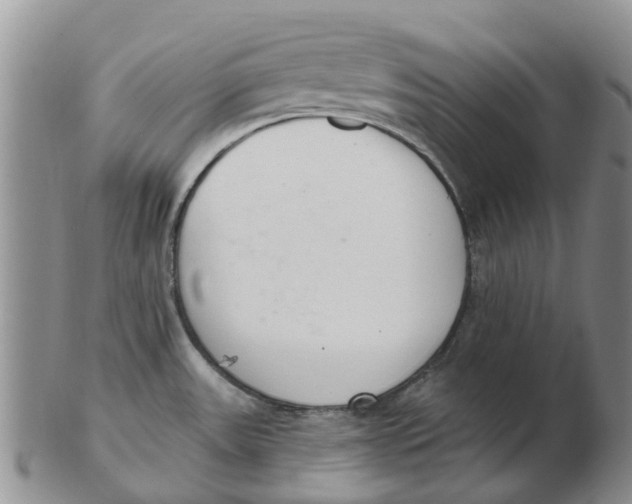 X0000103171531200809121849