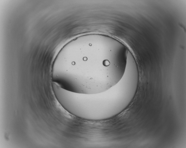 X0000103171532200809121849