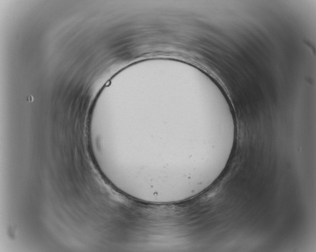 X0000103171533200809121849