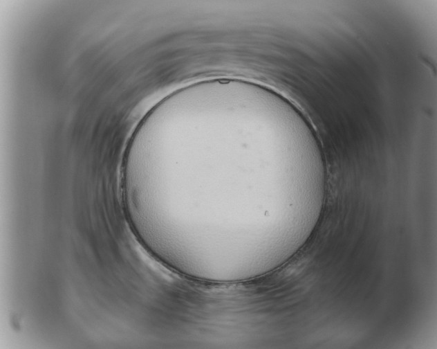 X0000103171535200809121849