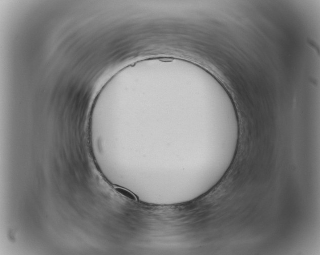 X0000103171536200809121849