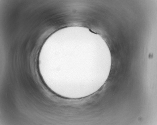 X0000103170001200809192127