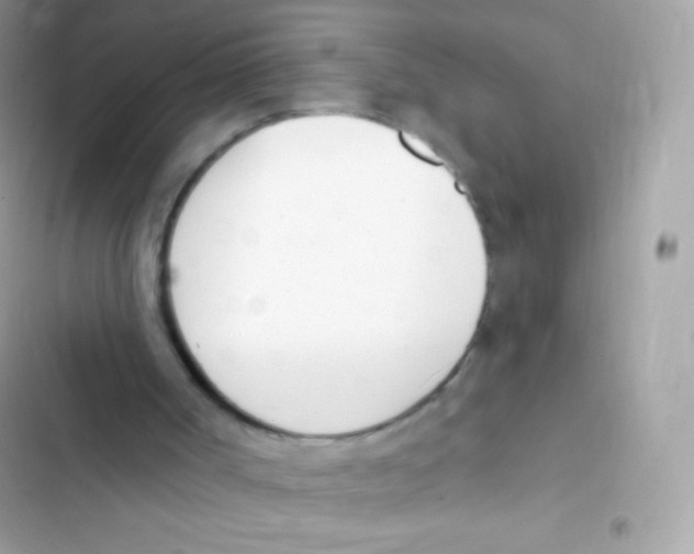 X0000103170002200809192127