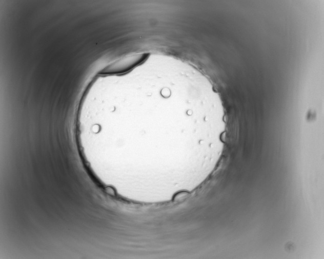 X0000103170003200809192127