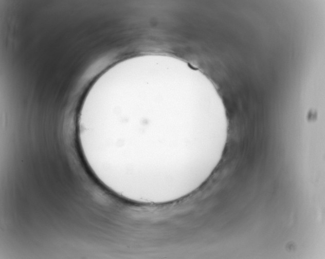 X0000103170005200809192127