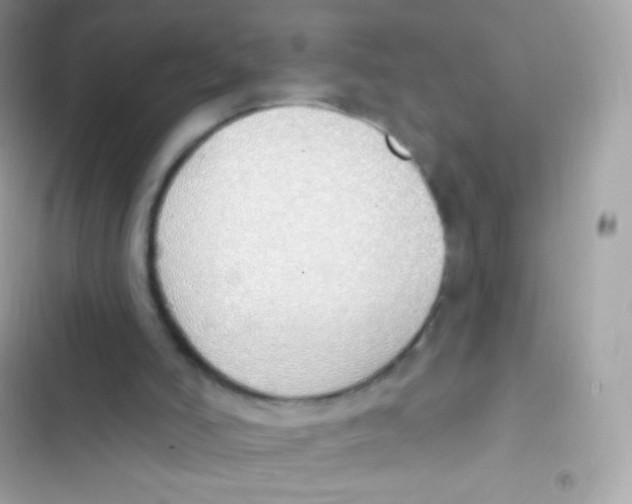 X0000103170006200809192127