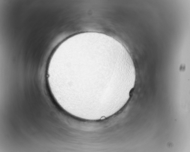 X0000103170008200809192127