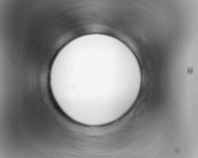 X0000103170010200809192127