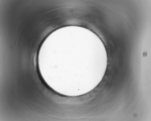 X0000103170011200809192127