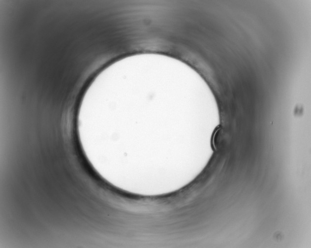 X0000103170012200809192127