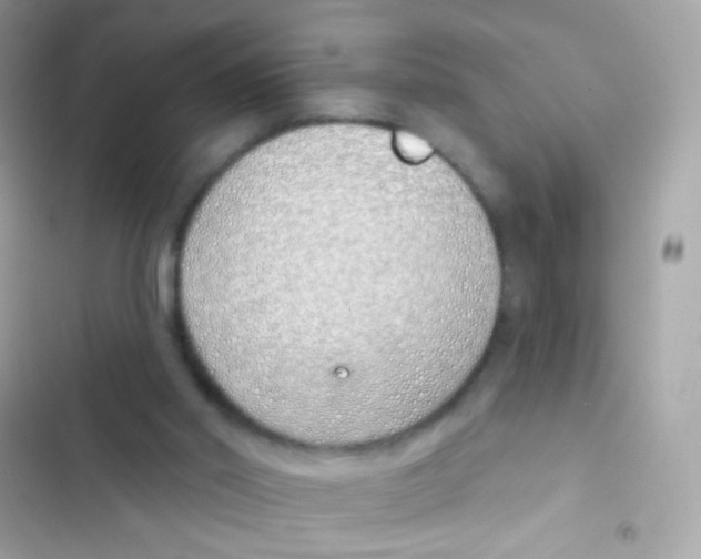 X0000103170014200809192127