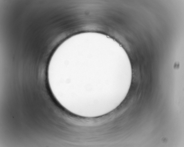 X0000103170015200809192127