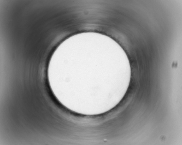 X0000103170016200809192127