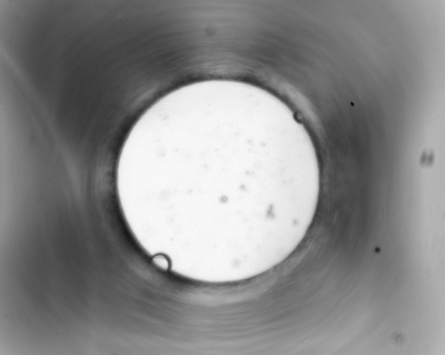 X0000103170017200809192127