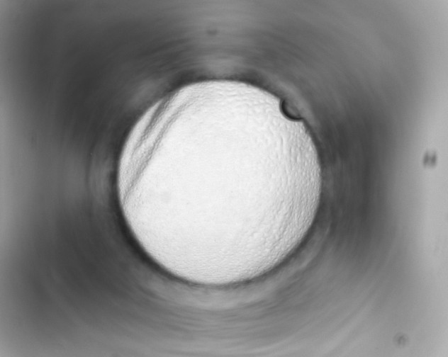 X0000103170018200809192127