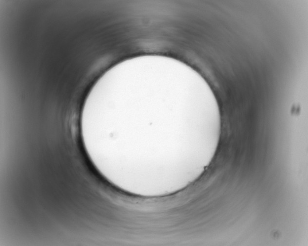 X0000103170019200809192127