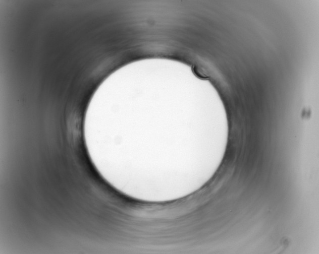 X0000103170021200809192127