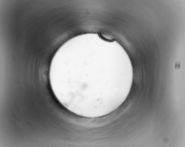 X0000103170023200809192127