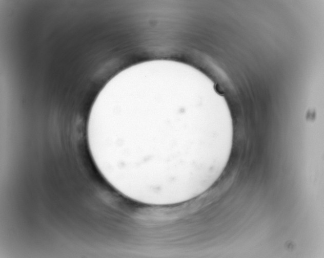 X0000103170025200809192127