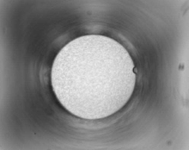 X0000103170026200809192127