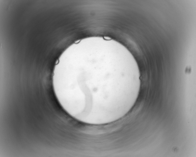 X0000103170029200809192127