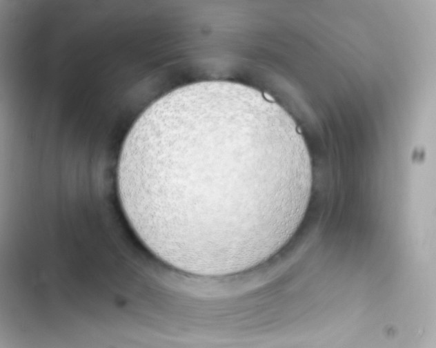 X0000103170030200809192127