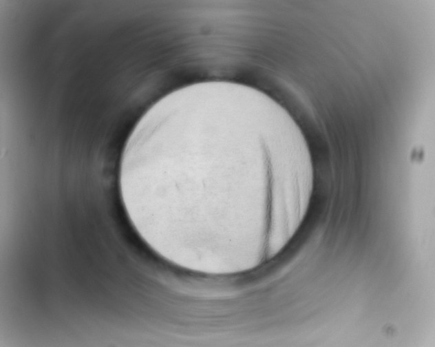 X0000103170032200809192127