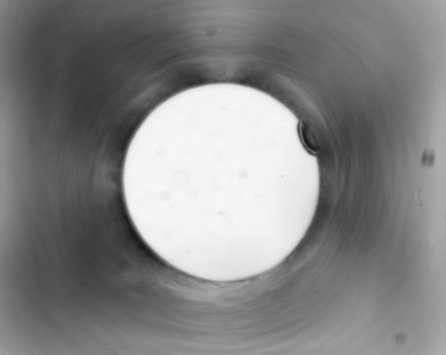 X0000103170035200809192127