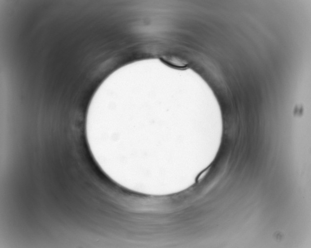 X0000103170036200809192127