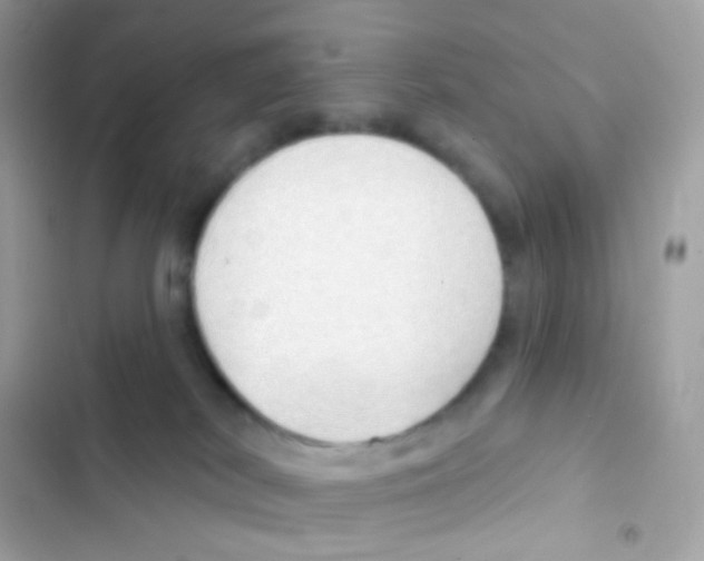 X0000103170038200809192127