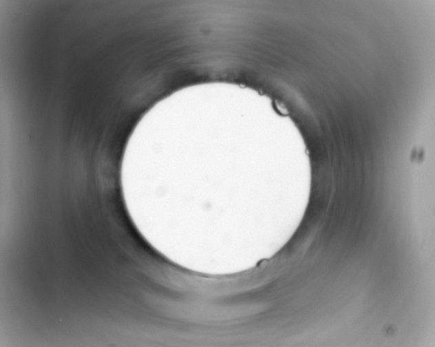 X0000103170039200809192127