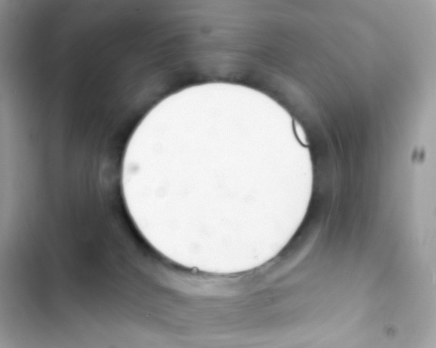 X0000103170040200809192127