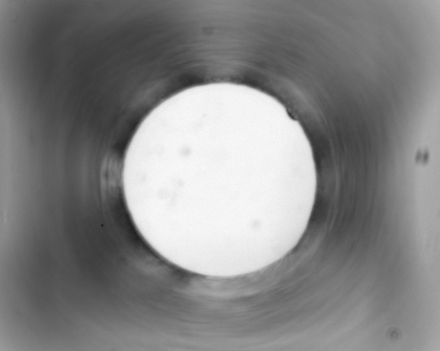 X0000103170041200809192127