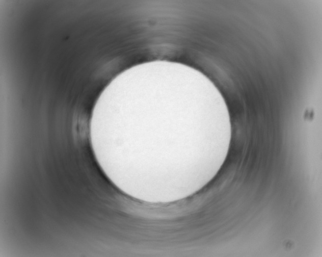 X0000103170042200809192127