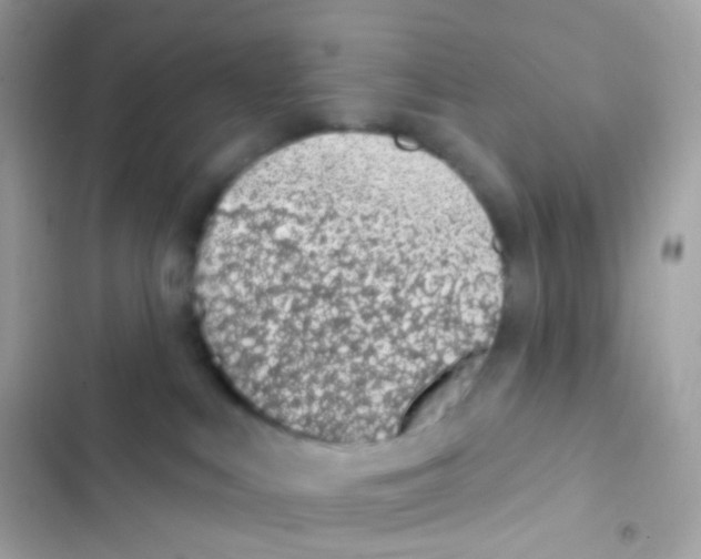 X0000103170043200809192127