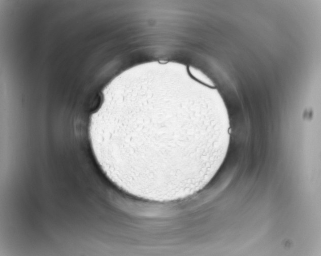 X0000103170044200809192127